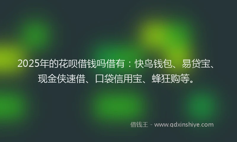 2025年的花呗借钱吗借有：快鸟钱包、易贷宝、现金侠速借、口袋信用宝、蜂狂购等。