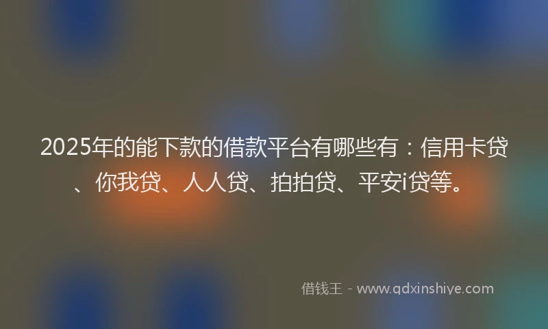 2025年的能下款的借款平台有哪些有：信用卡贷、你我贷、人人贷、拍拍贷、平安i贷等。