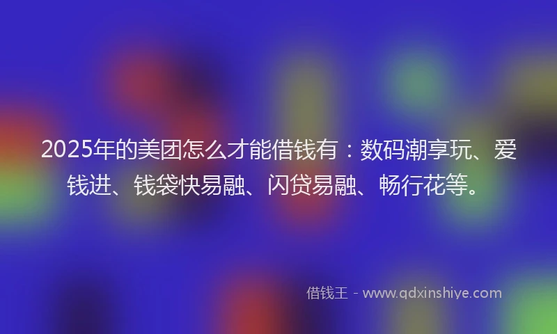 2025年的美团怎么才能借钱有：数码潮享玩、爱钱进、钱袋快易融、闪贷易融、畅行花等。
