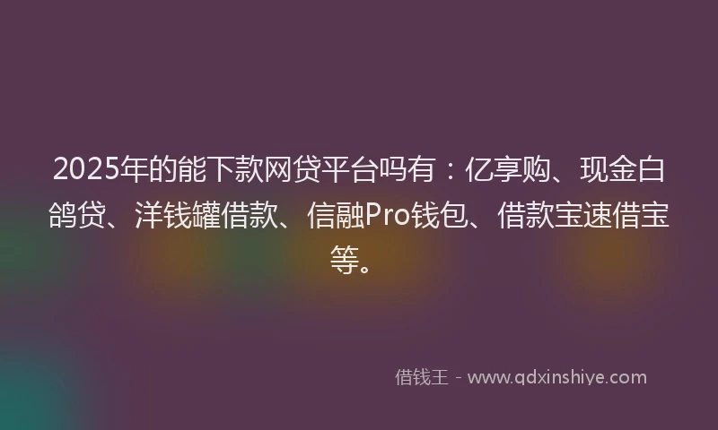 2025年的能下款网贷平台吗有：亿享购、现金白鸽贷、洋钱罐借款、信融Pro钱包、借款宝速借宝等。