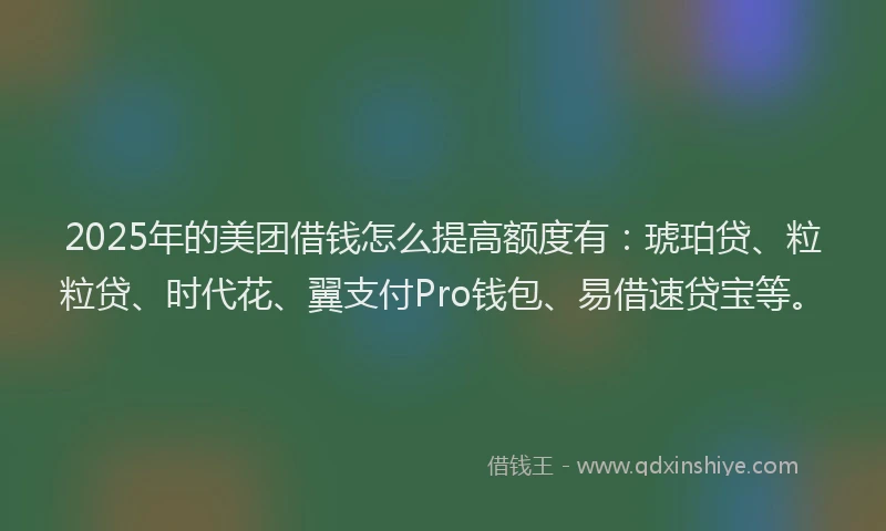 2025年的美团借钱怎么提高额度有：琥珀贷、粒粒贷、时代花、翼支付Pro钱包、易借速贷宝等。