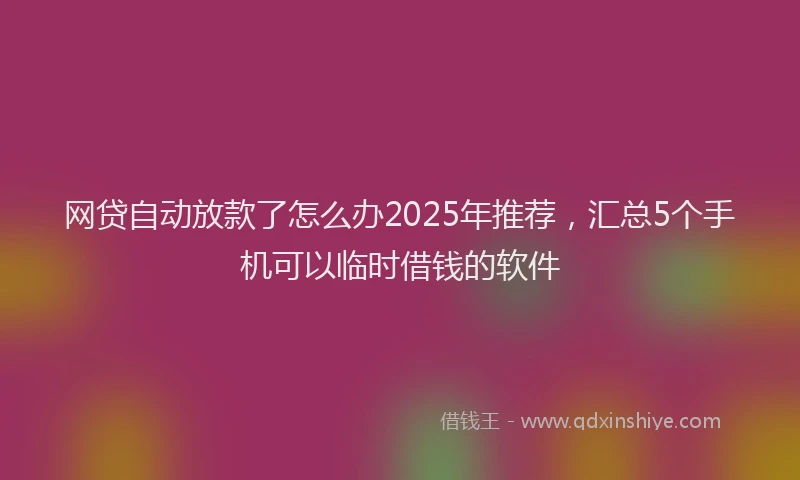 网贷自动放款了怎么办2025年推荐，汇总5个手机可以临时借钱的软件