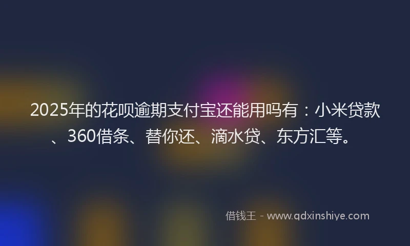 2025年的花呗逾期支付宝还能用吗有：小米贷款、360借条、替你还、滴水贷、东方汇等。