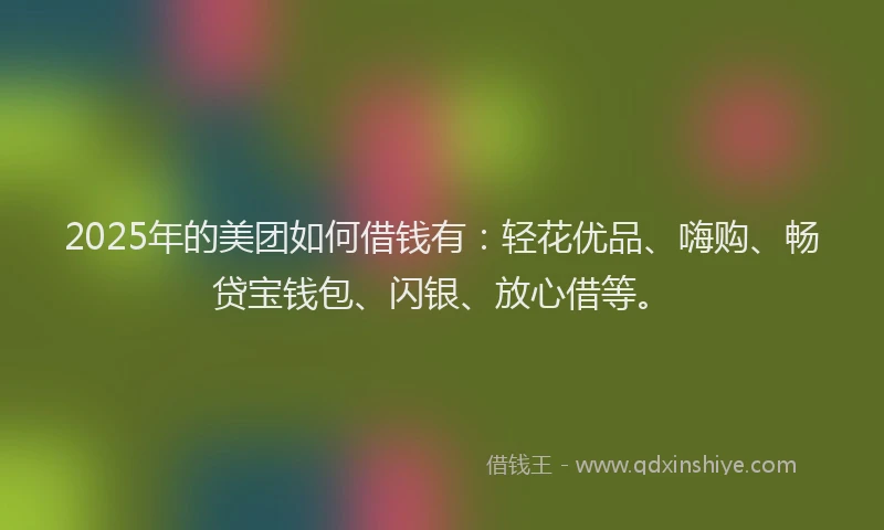2025年的美团如何借钱有：轻花优品、嗨购、畅贷宝钱包、闪银、放心借等。