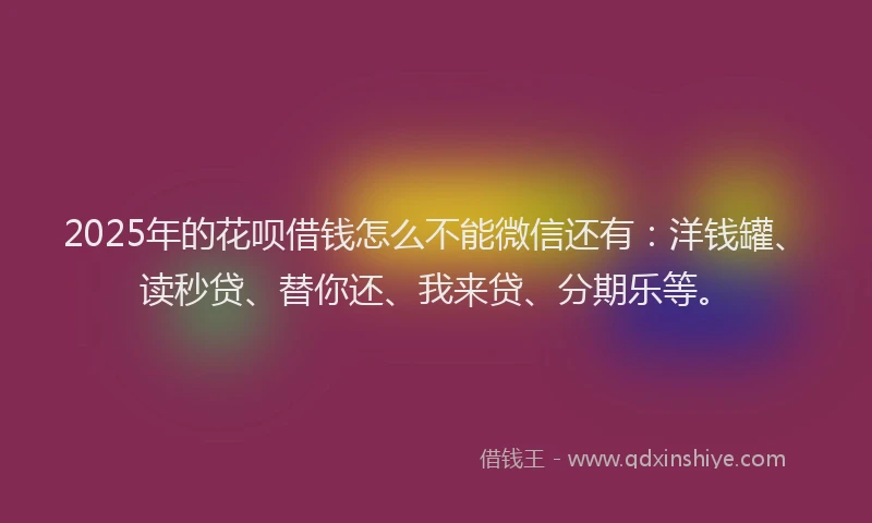 2025年的花呗借钱怎么不能微信还有：洋钱罐、读秒贷、替你还、我来贷、分期乐等。