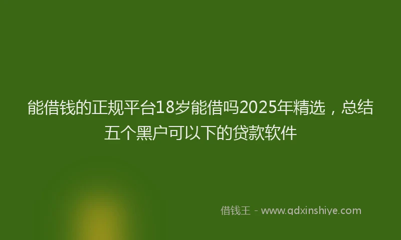 能借钱的正规平台18岁能借吗2025年精选，总结五个黑户可以下的贷款软件