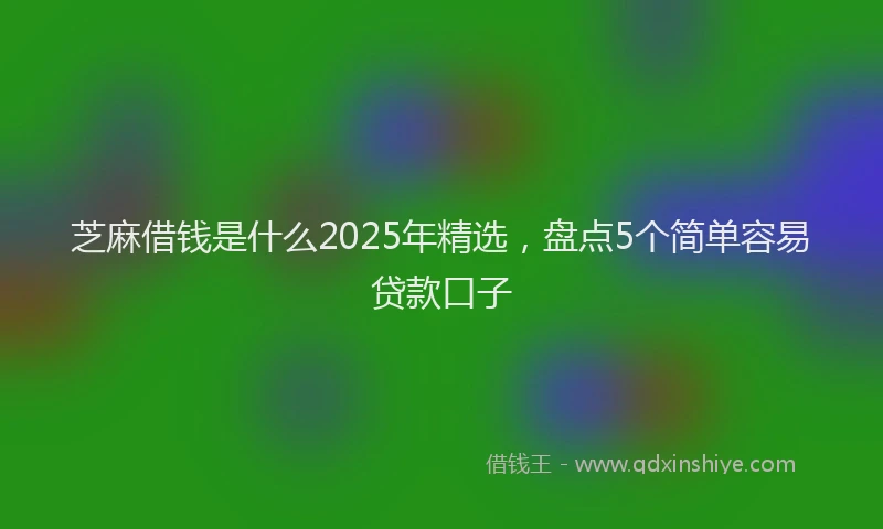 芝麻借钱是什么2025年精选，盘点5个简单容易贷款口子