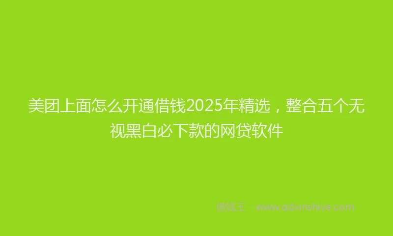 美团上面怎么开通借钱2025年精选，整合五个无视黑白必下款的网贷软件