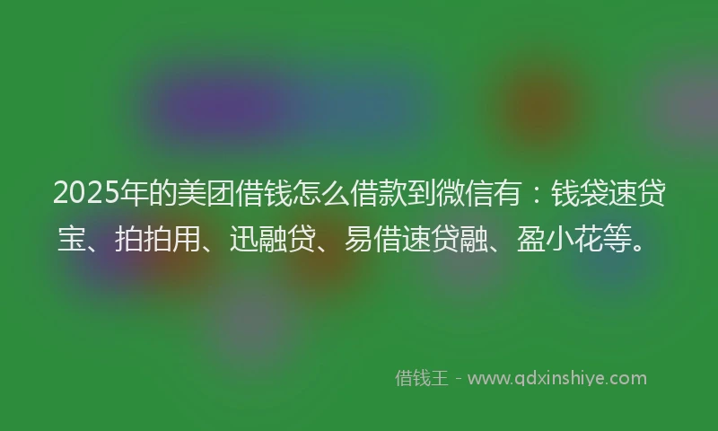 2025年的美团借钱怎么借款到微信有：钱袋速贷宝、拍拍用、迅融贷、易借速贷融、盈小花等。