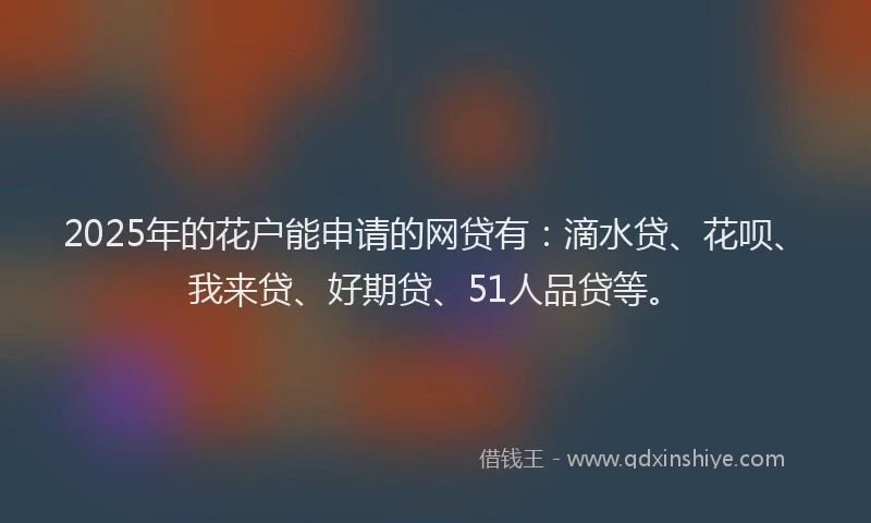2025年的花户能申请的网贷有：滴水贷、花呗、我来贷、好期贷、51人品贷等。