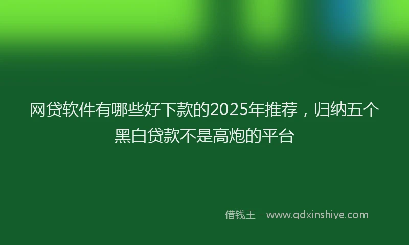 网贷软件有哪些好下款的2025年推荐，归纳五个黑白贷款不是高炮的平台