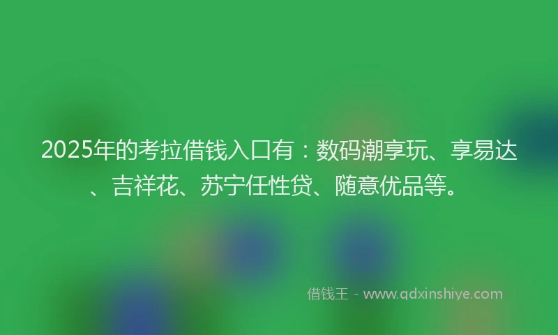 2025年的考拉借钱入口有：数码潮享玩、享易达、吉祥花、苏宁任性贷、随意优品等。
