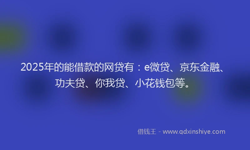 2025年的能借款的网贷有：e微贷、京东金融、功夫贷、你我贷、小花钱包等。