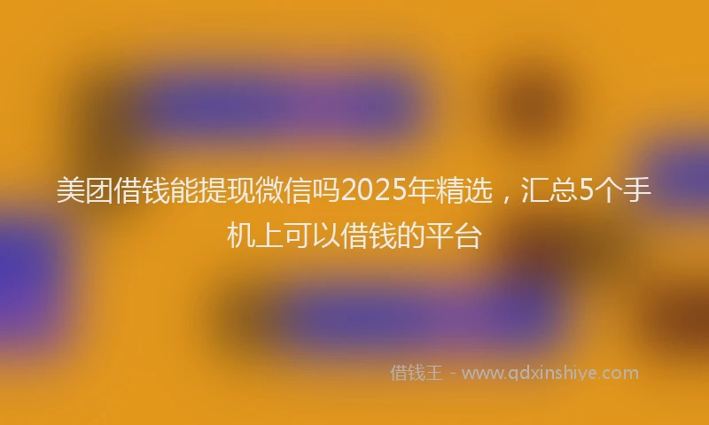 美团借钱能提现微信吗2025年精选，汇总5个手机上可以借钱的平台
