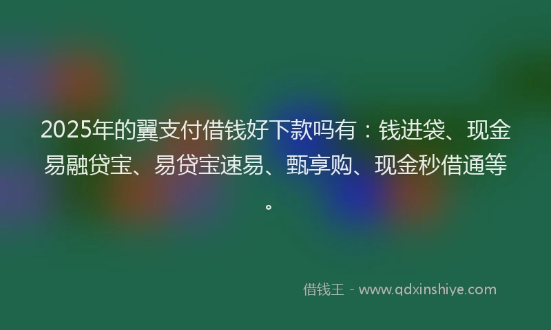 2025年的翼支付借钱好下款吗有：钱进袋、现金易融贷宝、易贷宝速易、甄享购、现金秒借通等。
