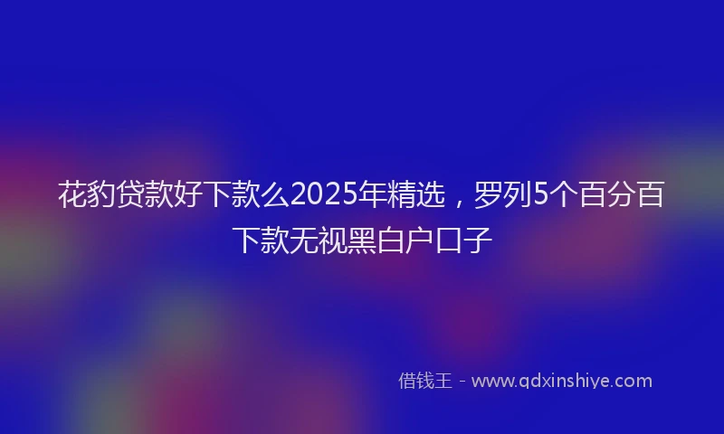 花豹贷款好下款么2025年精选，罗列5个百分百下款无视黑白户口子
