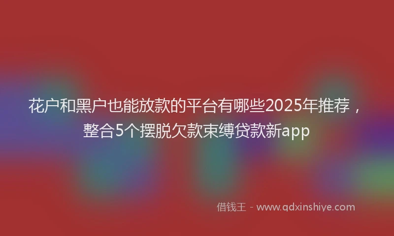 花户和黑户也能放款的平台有哪些2025年推荐，整合5个摆脱欠款束缚贷款新app