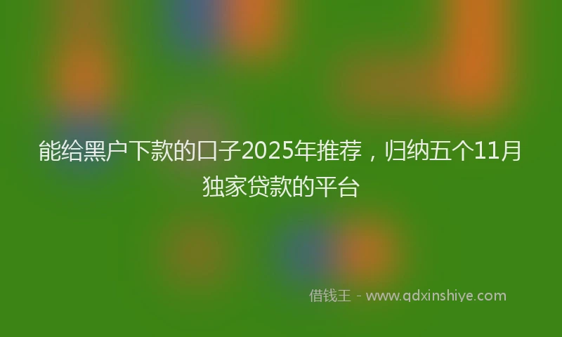 能给黑户下款的口子2025年推荐，归纳五个11月独家贷款的平台