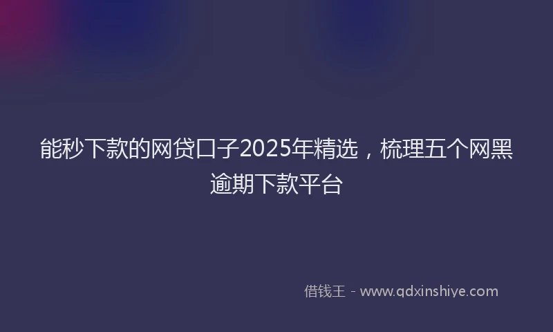 能秒下款的网贷口子2025年精选，梳理五个网黑逾期下款平台