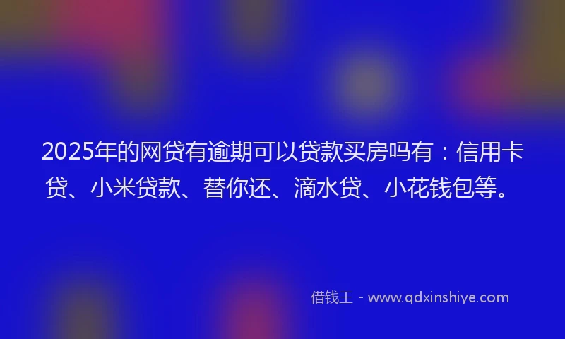 2025年的网贷有逾期可以贷款买房吗有：信用卡贷、小米贷款、替你还、滴水贷、小花钱包等。