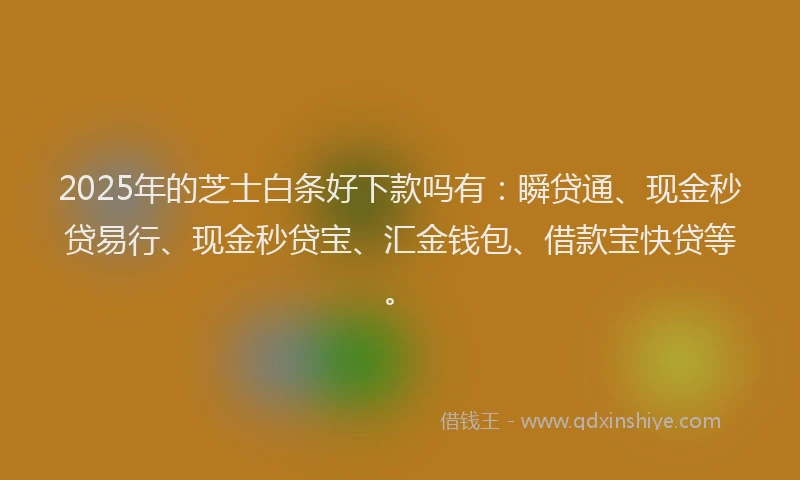 2025年的芝士白条好下款吗有：瞬贷通、现金秒贷易行、现金秒贷宝、汇金钱包、借款宝快贷等。