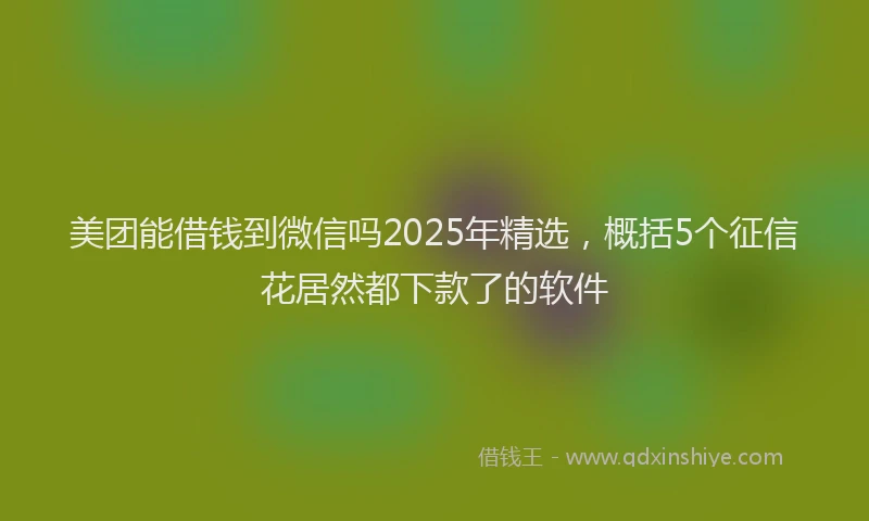 美团能借钱到微信吗2025年精选，概括5个征信花居然都下款了的软件