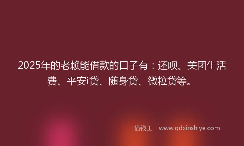 2025年的老赖能借款的口子有：还呗、美团生活费、平安i贷、随身贷、微粒贷等。