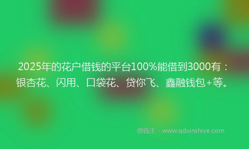 2025年的花户借钱的平台100%能借到3000有：银杏花、闪用、口袋花、贷你飞、鑫融钱包+等。