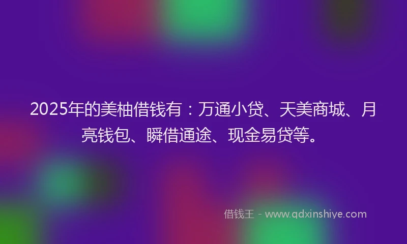2025年的美柚借钱有：万通小贷、天美商城、月亮钱包、瞬借通途、现金易贷等。