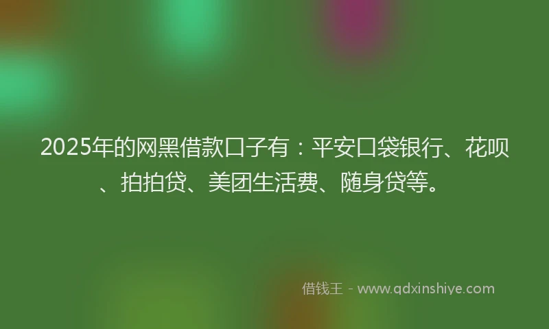 2025年的网黑借款口子有：平安口袋银行、花呗、拍拍贷、美团生活费、随身贷等。
