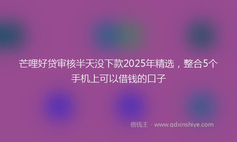 芒哩好贷审核半天没下款2025年精选，整合5个手机上可以借钱的口子