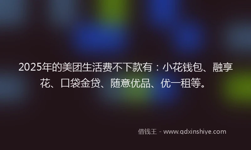 2025年的美团生活费不下款有：小花钱包、融享花、口袋金贷、随意优品、优一租等。