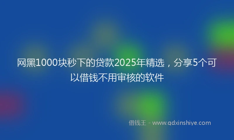 网黑1000块秒下的贷款2025年精选，分享5个可以借钱不用审核的软件