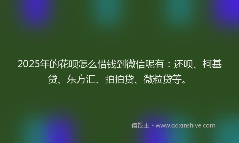 2025年的花呗怎么借钱到微信呢有：还呗、柯基贷、东方汇、拍拍贷、微粒贷等。