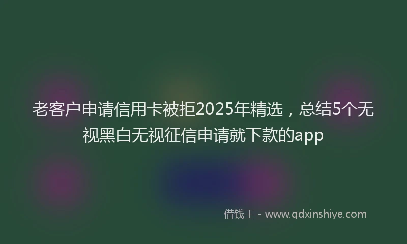 老客户申请信用卡被拒2025年精选，总结5个无视黑白无视征信申请就下款的app