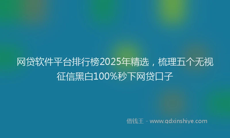 网贷软件平台排行榜2025年精选，梳理五个无视征信黑白100%秒下网贷口子