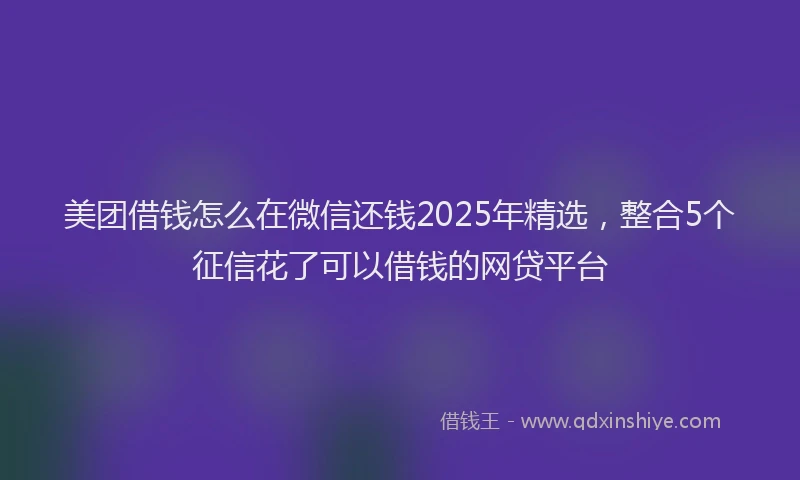 美团借钱怎么在微信还钱2025年精选，整合5个征信花了可以借钱的网贷平台