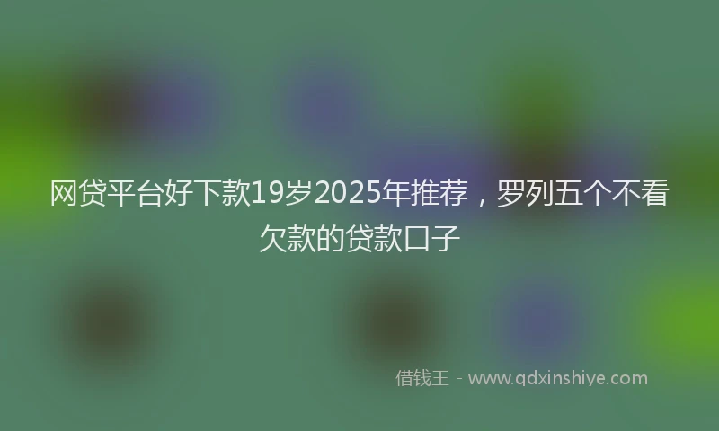 网贷平台好下款19岁2025年推荐，罗列五个不看欠款的贷款口子
