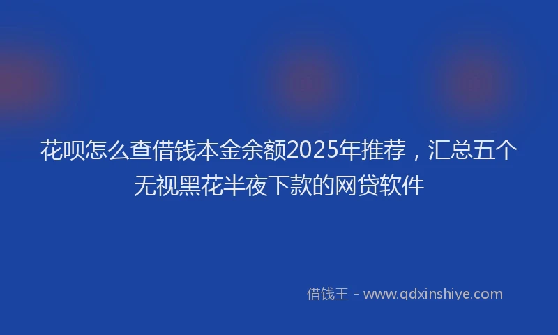花呗怎么查借钱本金余额2025年推荐，汇总五个无视黑花半夜下款的网贷软件