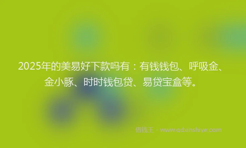 2025年的美易好下款吗有：有钱钱包、呼吸金、金小豚、时时钱包贷、易贷宝盒等。