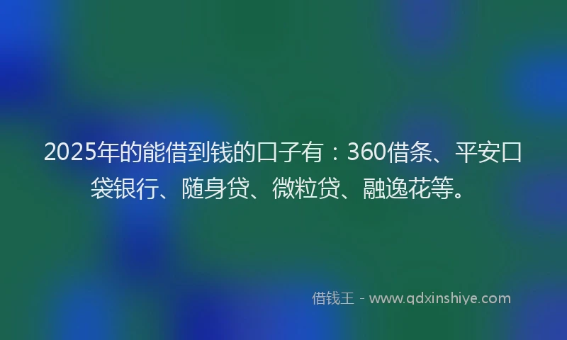 2025年的能借到钱的口子有：360借条、平安口袋银行、随身贷、微粒贷、融逸花等。
