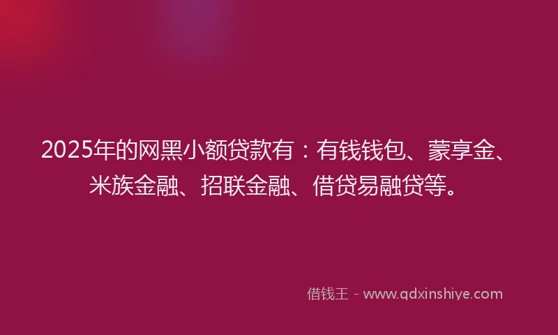 2025年的网黑小额贷款有：有钱钱包、蒙享金、米族金融、招联金融、借贷易融贷等。