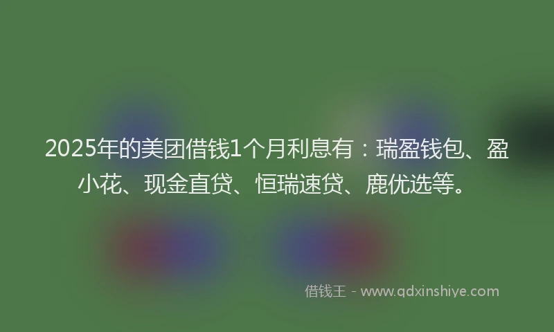 2025年的美团借钱1个月利息有：瑞盈钱包、盈小花、现金直贷、恒瑞速贷、鹿优选等。