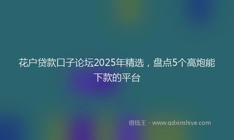 花户贷款口子论坛2025年精选，盘点5个高炮能下款的平台
