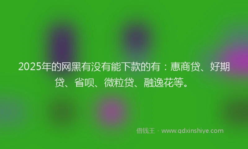 2025年的网黑有没有能下款的有：惠商贷、好期贷、省呗、微粒贷、融逸花等。
