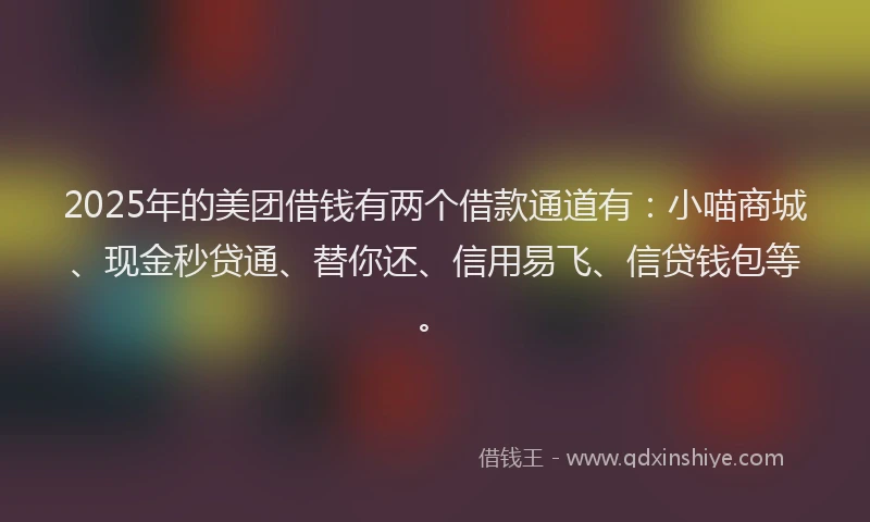 2025年的美团借钱有两个借款通道有：小喵商城、现金秒贷通、替你还、信用易飞、信贷钱包等。