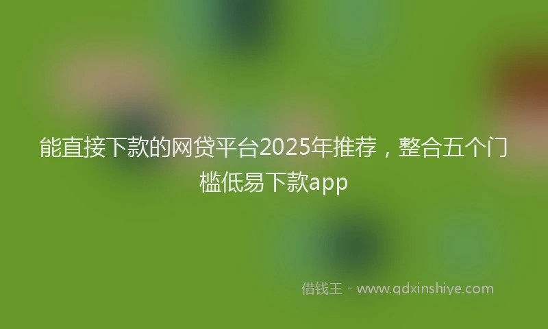 能直接下款的网贷平台2025年推荐，整合五个门槛低易下款app