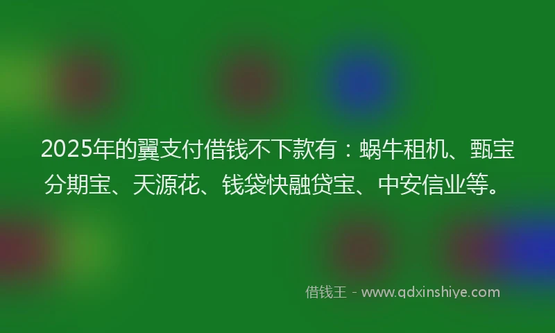 2025年的翼支付借钱不下款有：蜗牛租机、甄宝分期宝、天源花、钱袋快融贷宝、中安信业等。