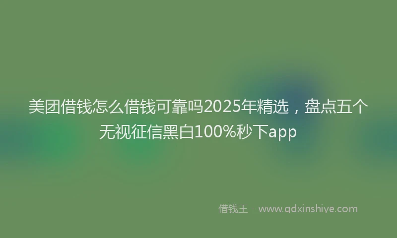 美团借钱怎么借钱可靠吗2025年精选，盘点五个无视征信黑白100%秒下app