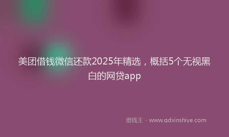 美团借钱微信还款2025年精选，概括5个无视黑白的网贷app